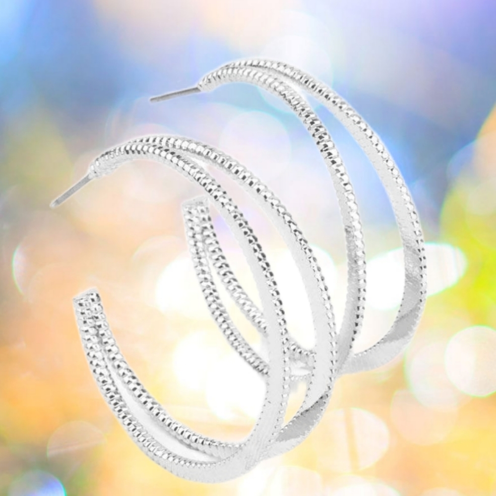 Paparazzi Rustic Curves Silvertone Hoop Earrings